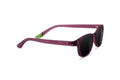Morris – Plum - SUNGLASSES