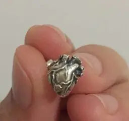 Vena Cava Heart Stud Earrings